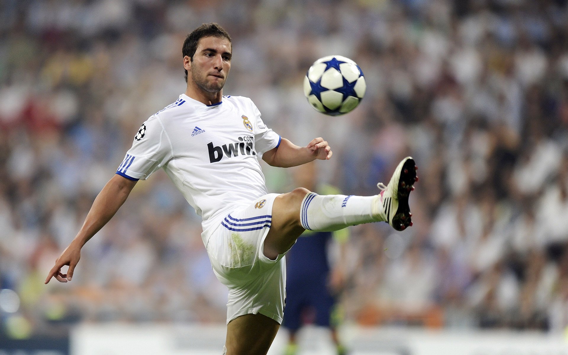 开云平台-皮特·斯图斯荣膺南非年度最佳球员