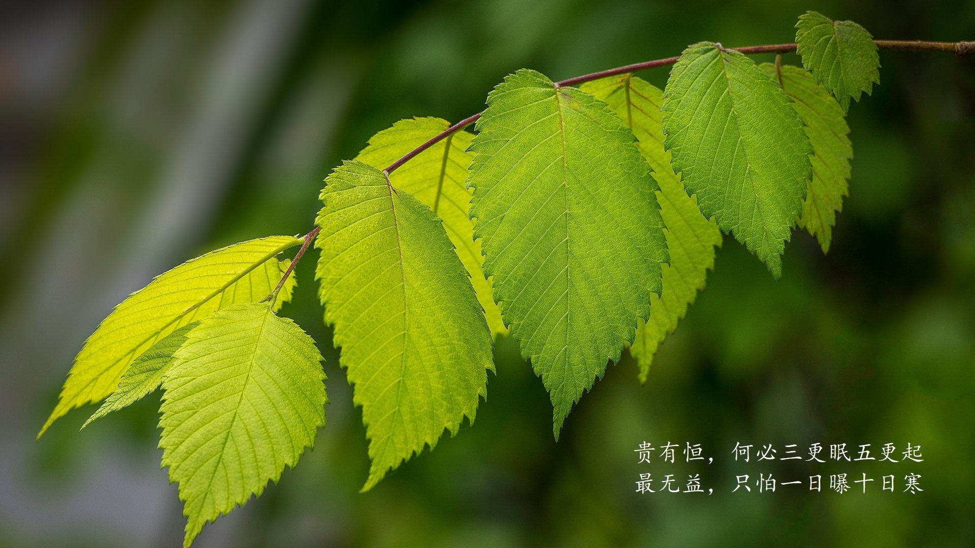 _未来运动教育:创新课程激发潜能_,未来运动主题乐园