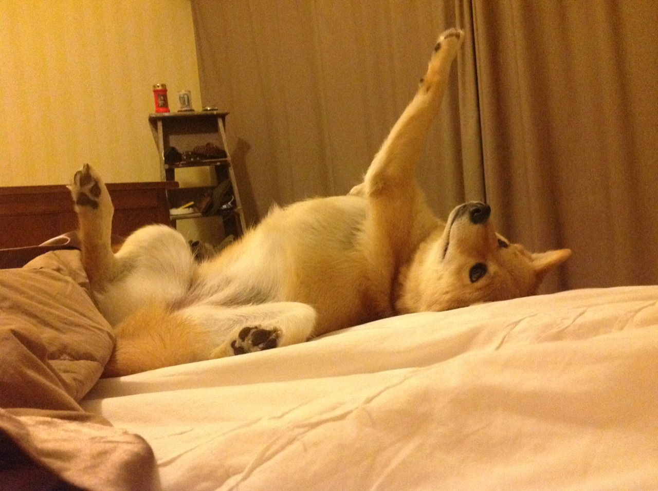 kaiyun网站-“西甲冠军悬念升温：强队纷纷迎来关键胜利”，西甲冠军球队