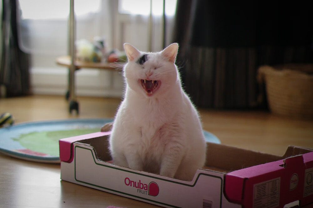 开云中国-《【文化探讨】电竞如何成为青少年的新文化符号？》，电竞青年群体